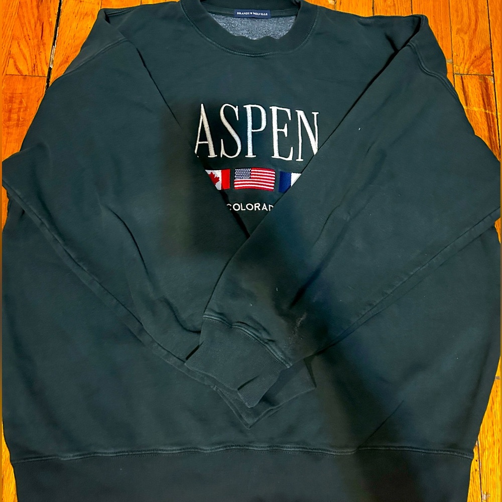 Brandy Melville Aspen Crewneck